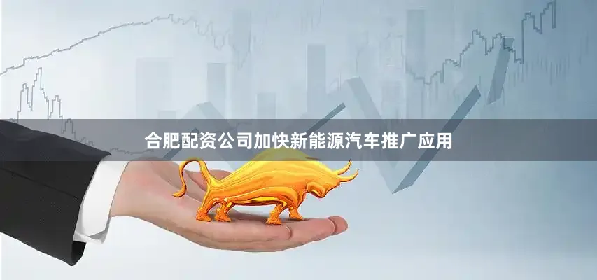 合肥配资公司加快新能源汽车推广应用