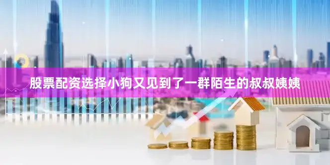 股票配资选择小狗又见到了一群陌生的叔叔姨姨