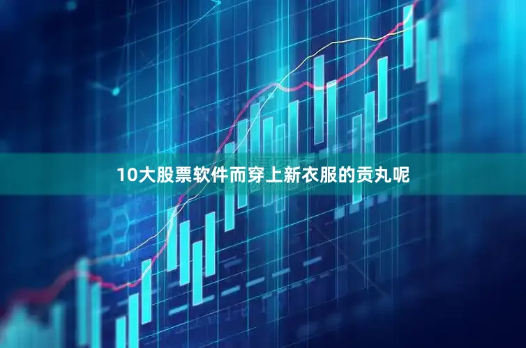 10大股票软件而穿上新衣服的贡丸呢