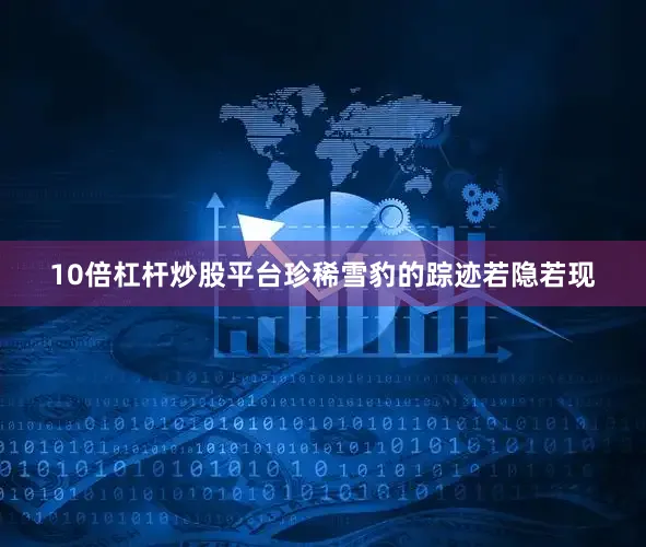 10倍杠杆炒股平台珍稀雪豹的踪迹若隐若现