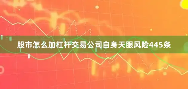 股市怎么加杠杆交易公司自身天眼风险445条