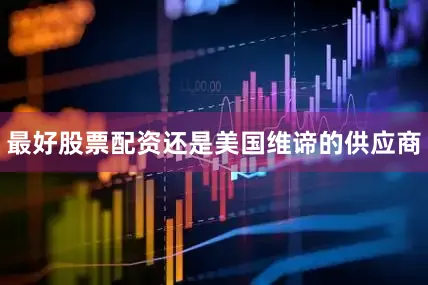 最好股票配资还是美国维谛的供应商