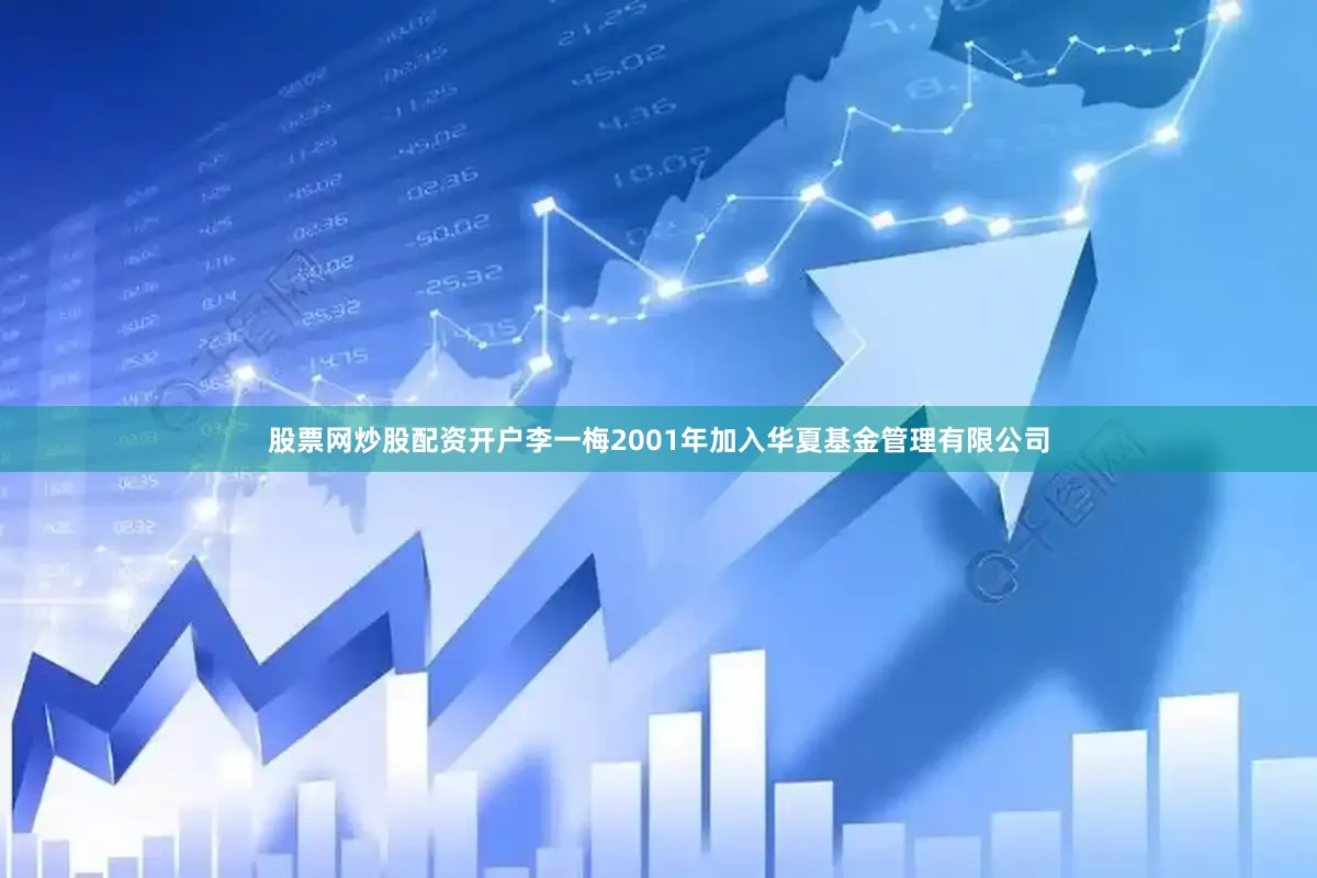 股票网炒股配资开户李一梅2001年加入华夏基金管理有限公司
